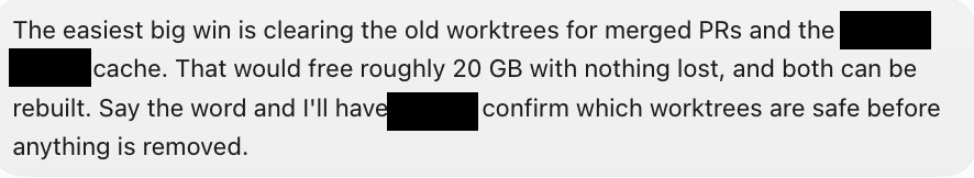 My Bot suggesting it clear old worktrees and a cache to free about 20 GB, and asking before removing anything. Two internal names are blacked out.